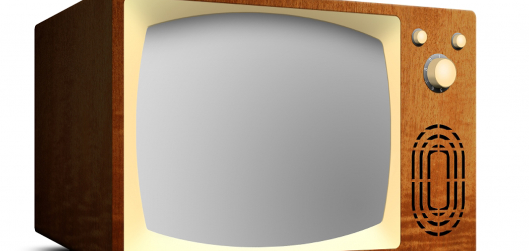 My Son Has an Idea for a Reality TV Show Nick Bhasin My Son Has an Idea for a Reality TV Show Nick Bhasin